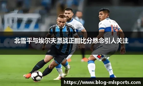 米兰体育官网